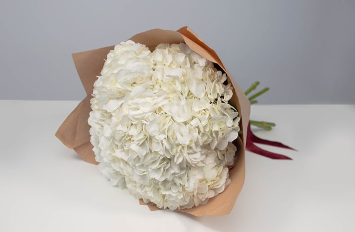 Hydrangea Elegance Bouquet image